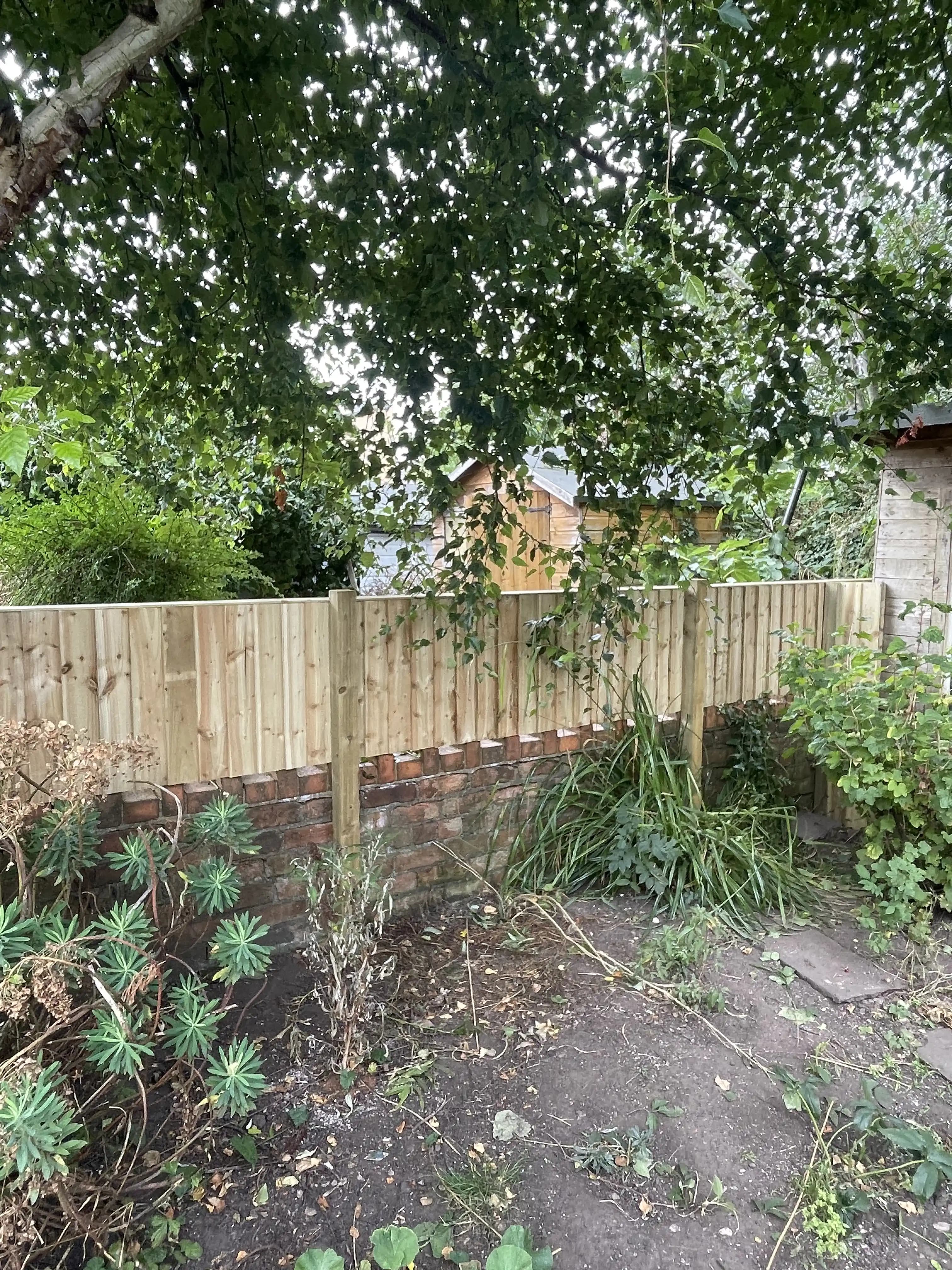 Closeboard fence behind raised beds and garden planting