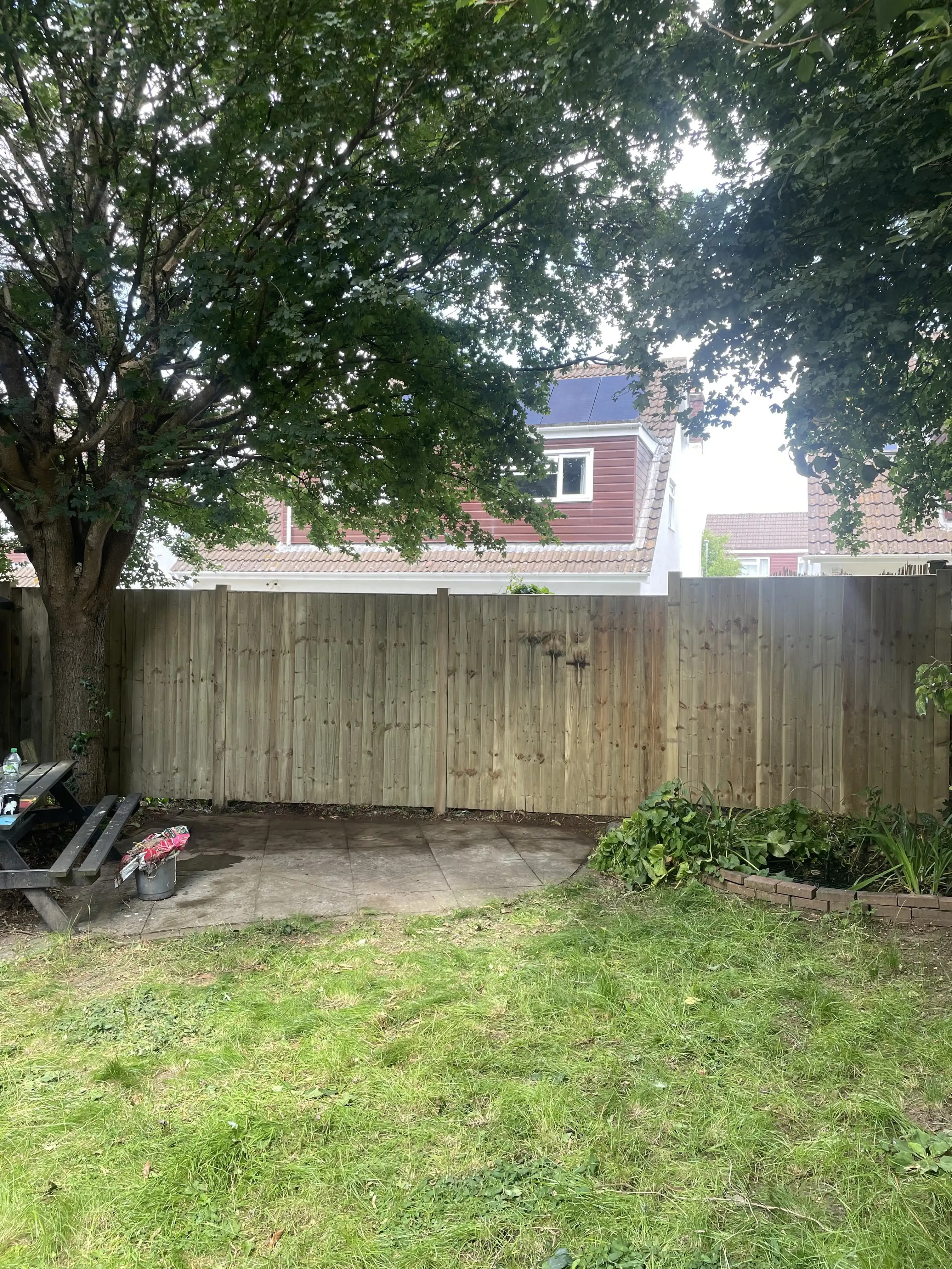 Back garden closeboard fence shaded by a large tree