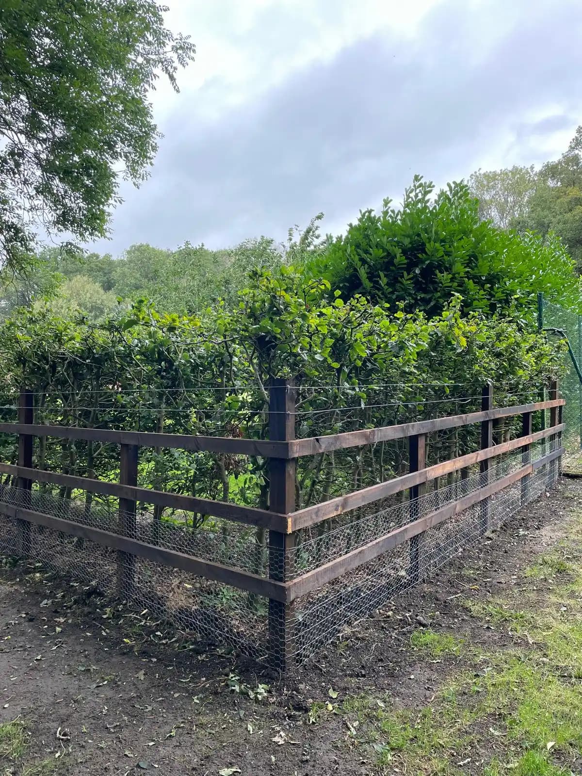 Black estate style fence corner beside a hedgerow