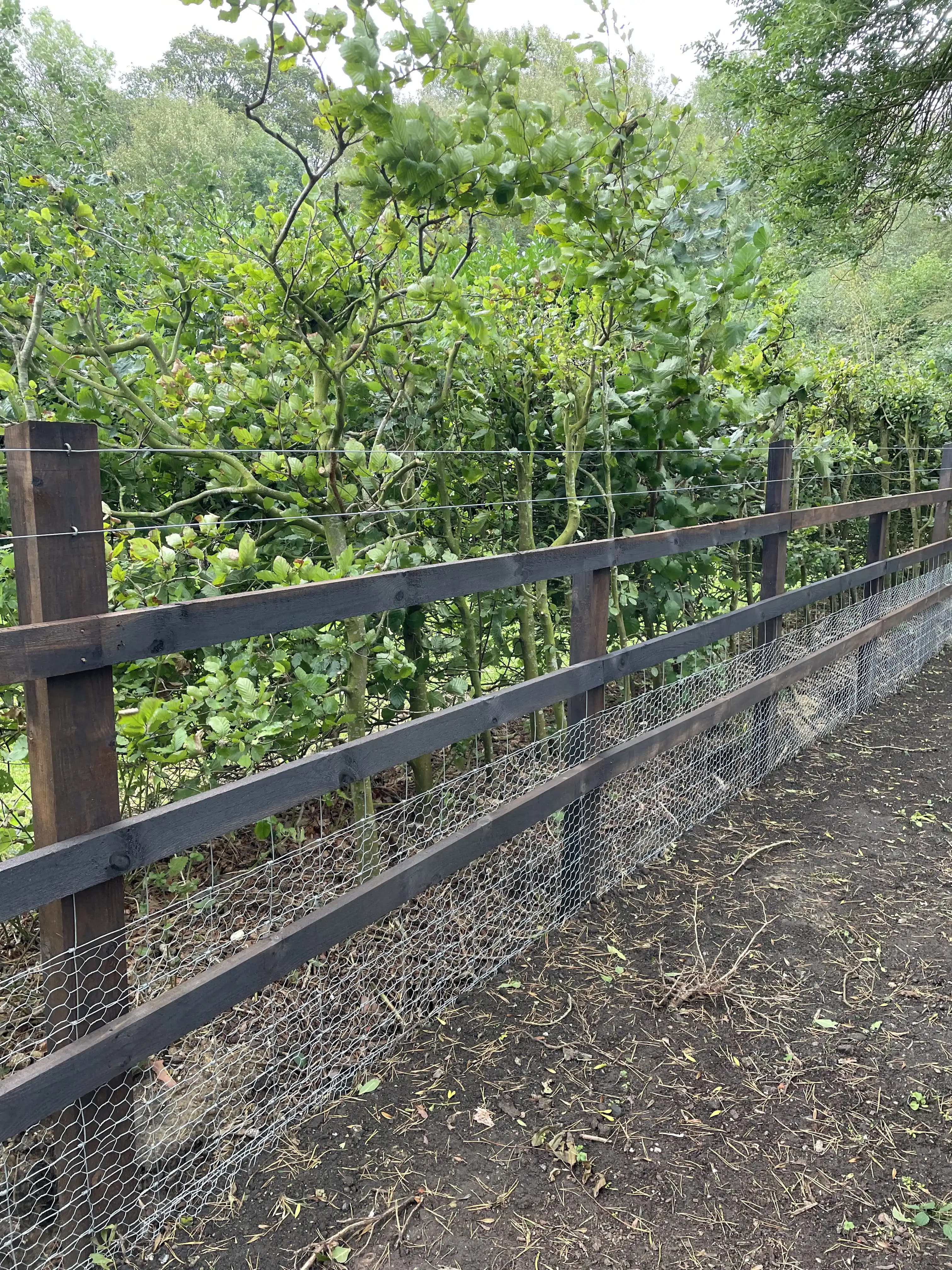 Black post and rail boundary fence beside a planted hedge