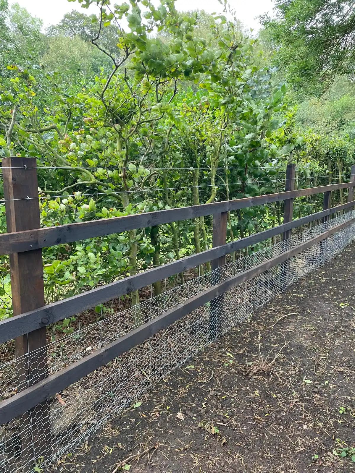 Black post and rail fence beside a garden path