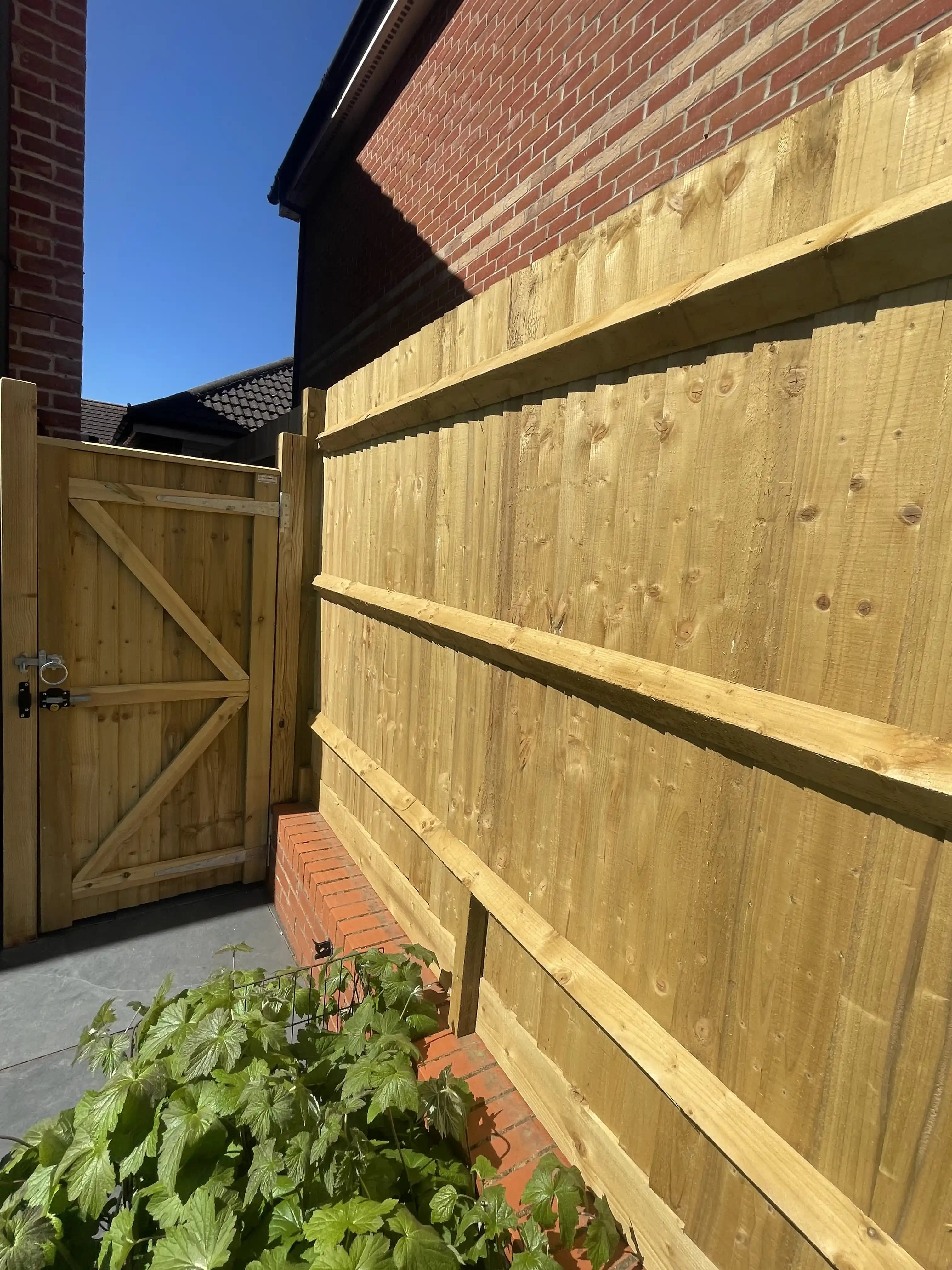Closeboard fence panel behind a timber side gate
