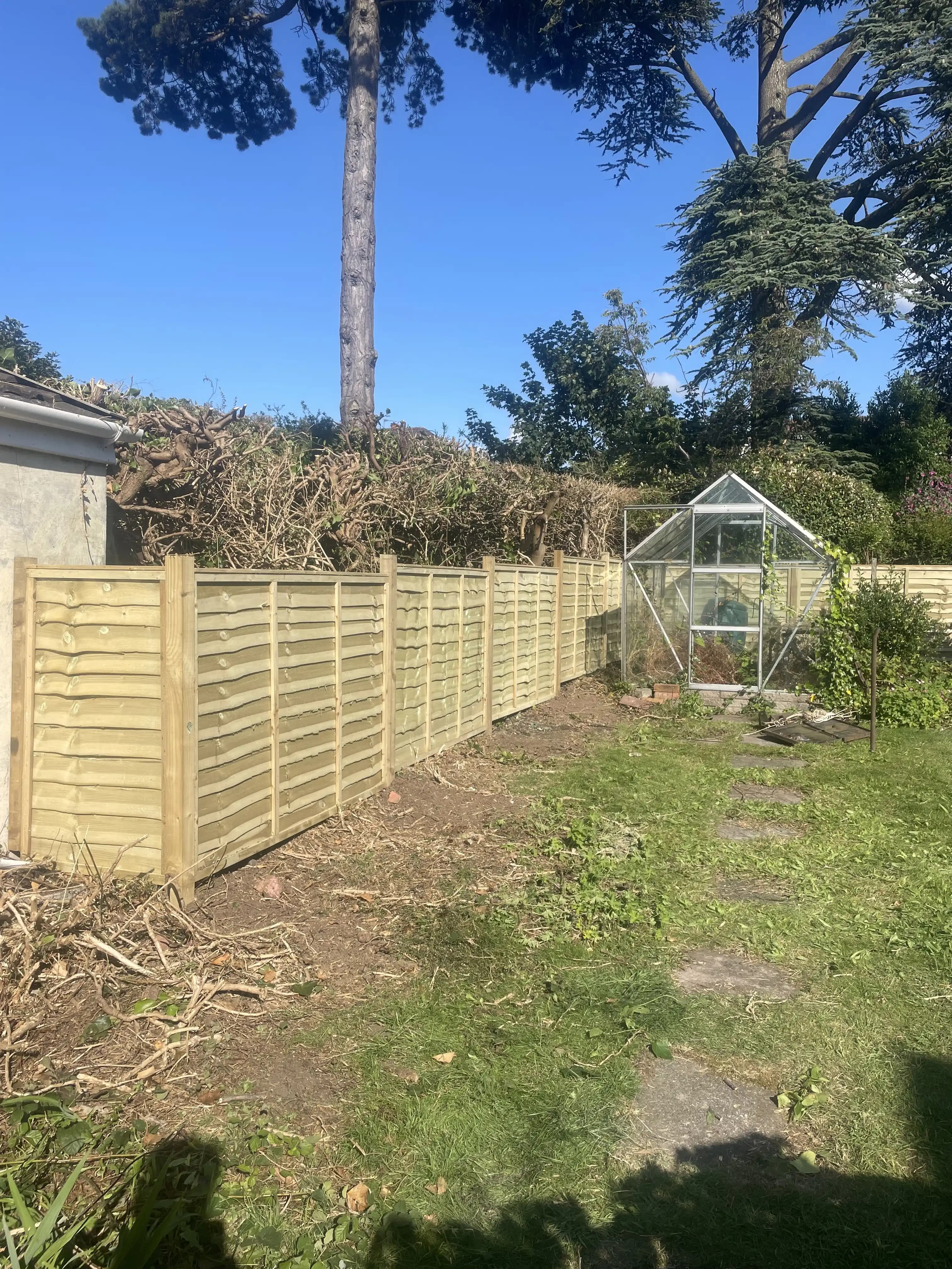 Closeboard fence beside a greenhouse in a sunny garden