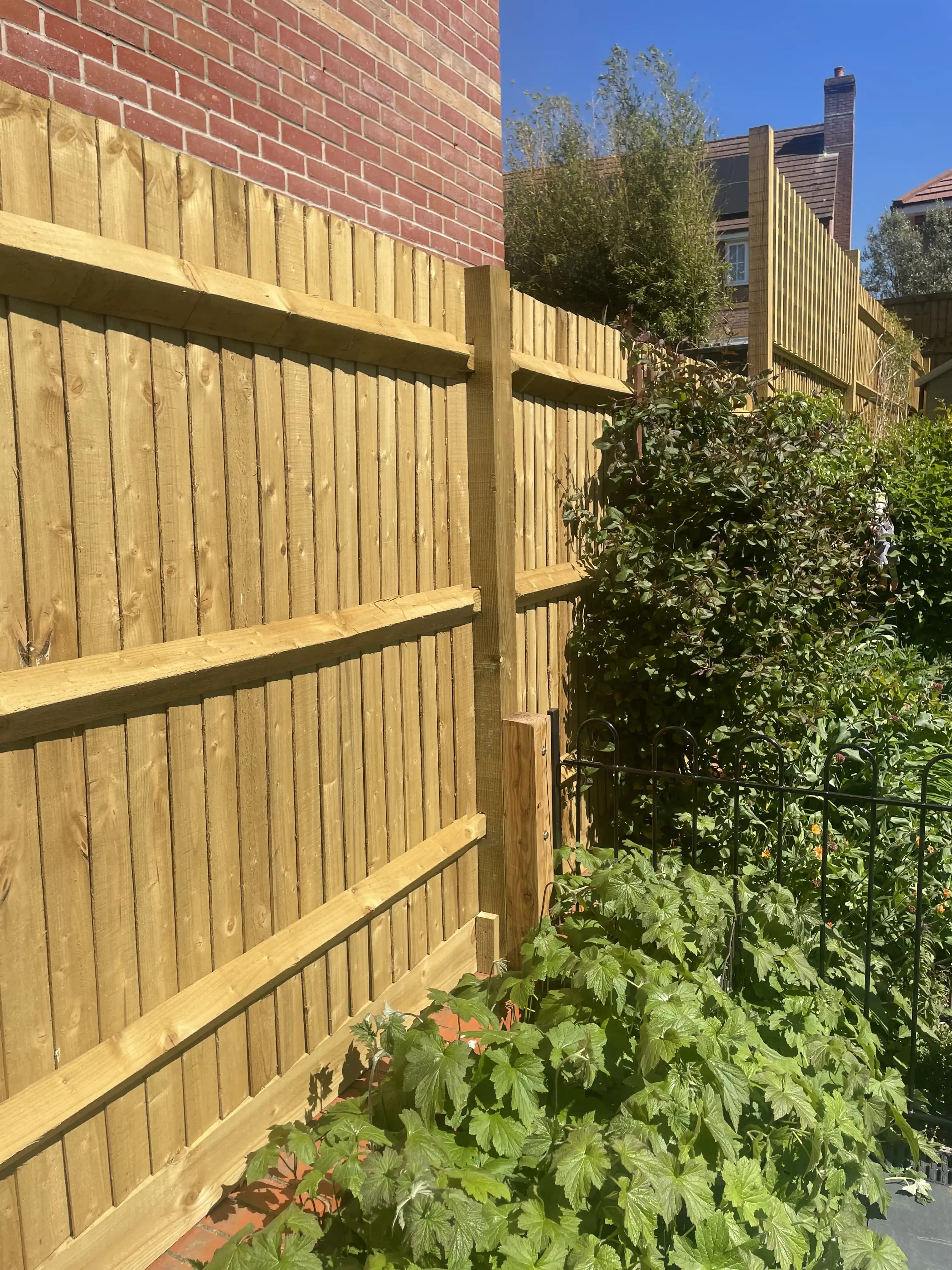 Closeboard fence installed behind a dense planting border