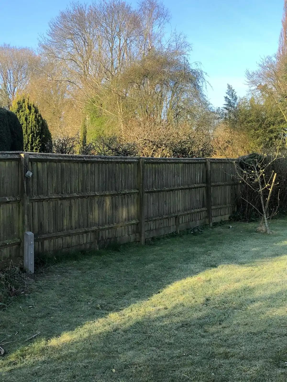 Closeboard fence at the back of a sunny garden