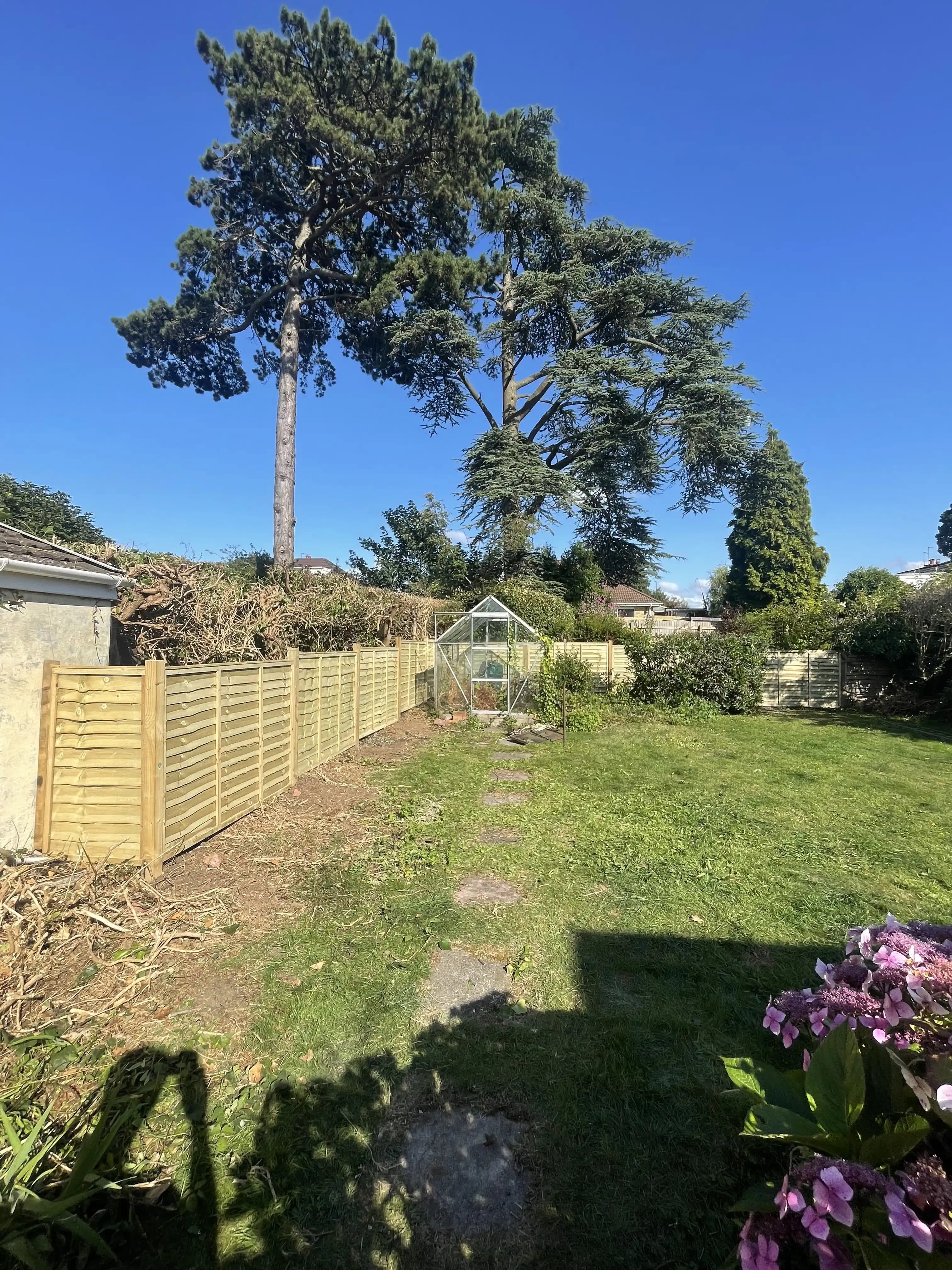 Closeboard fence running along a sunny garden lawn