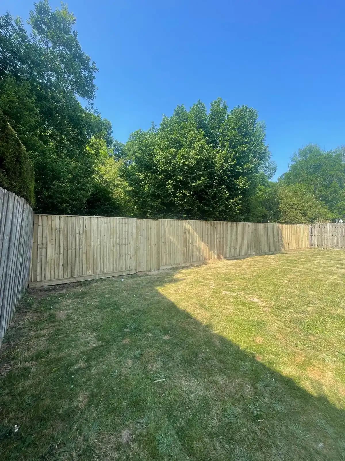 Long closeboard fence around a sunny back garden