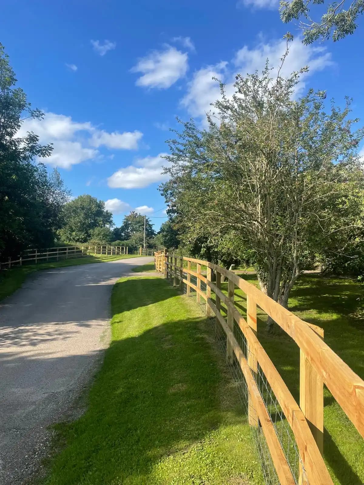 Post and rail fence along a roadside lawn in sunny weather