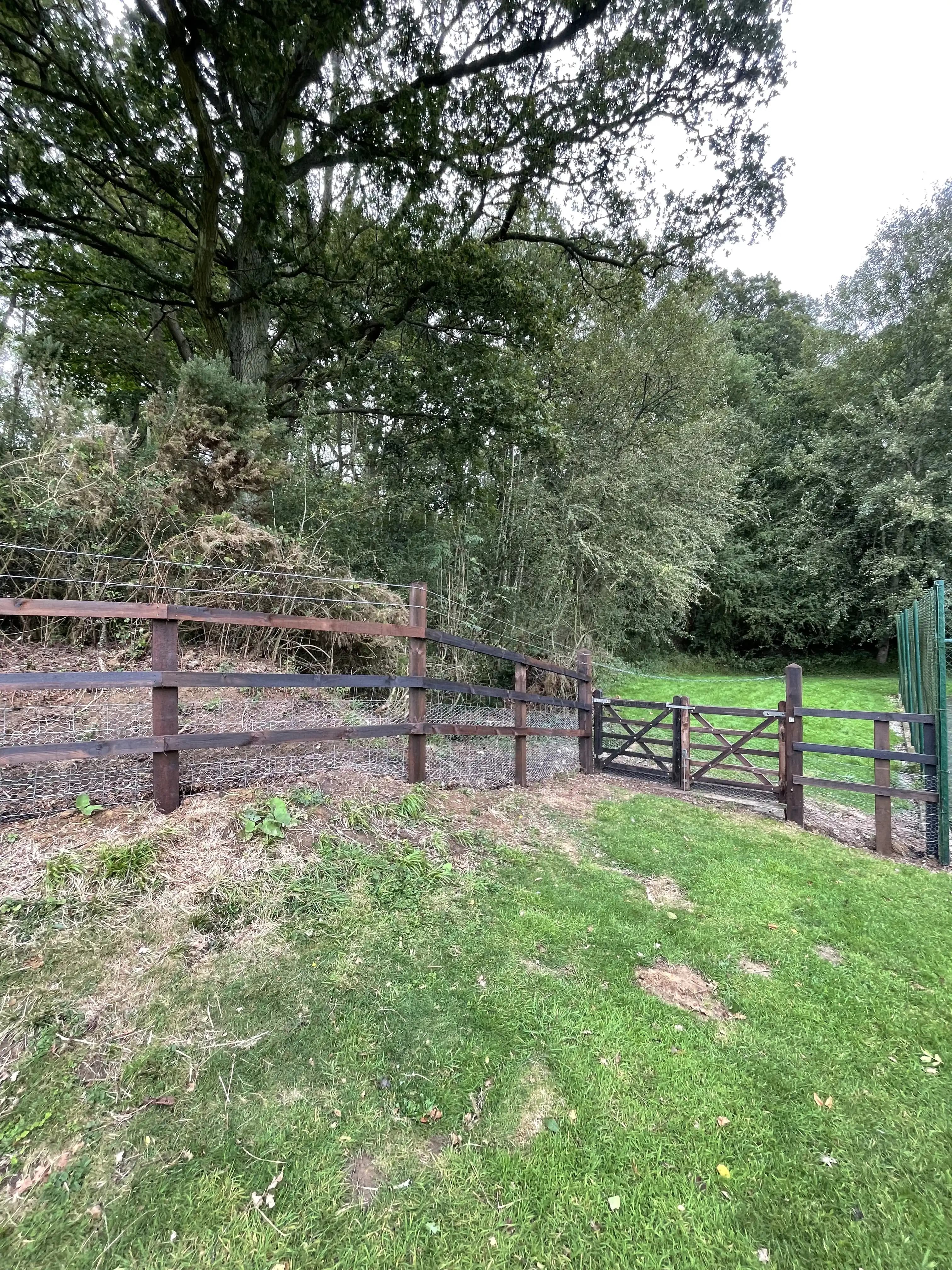 Post and rail field gate and fence at a wooded garden edge