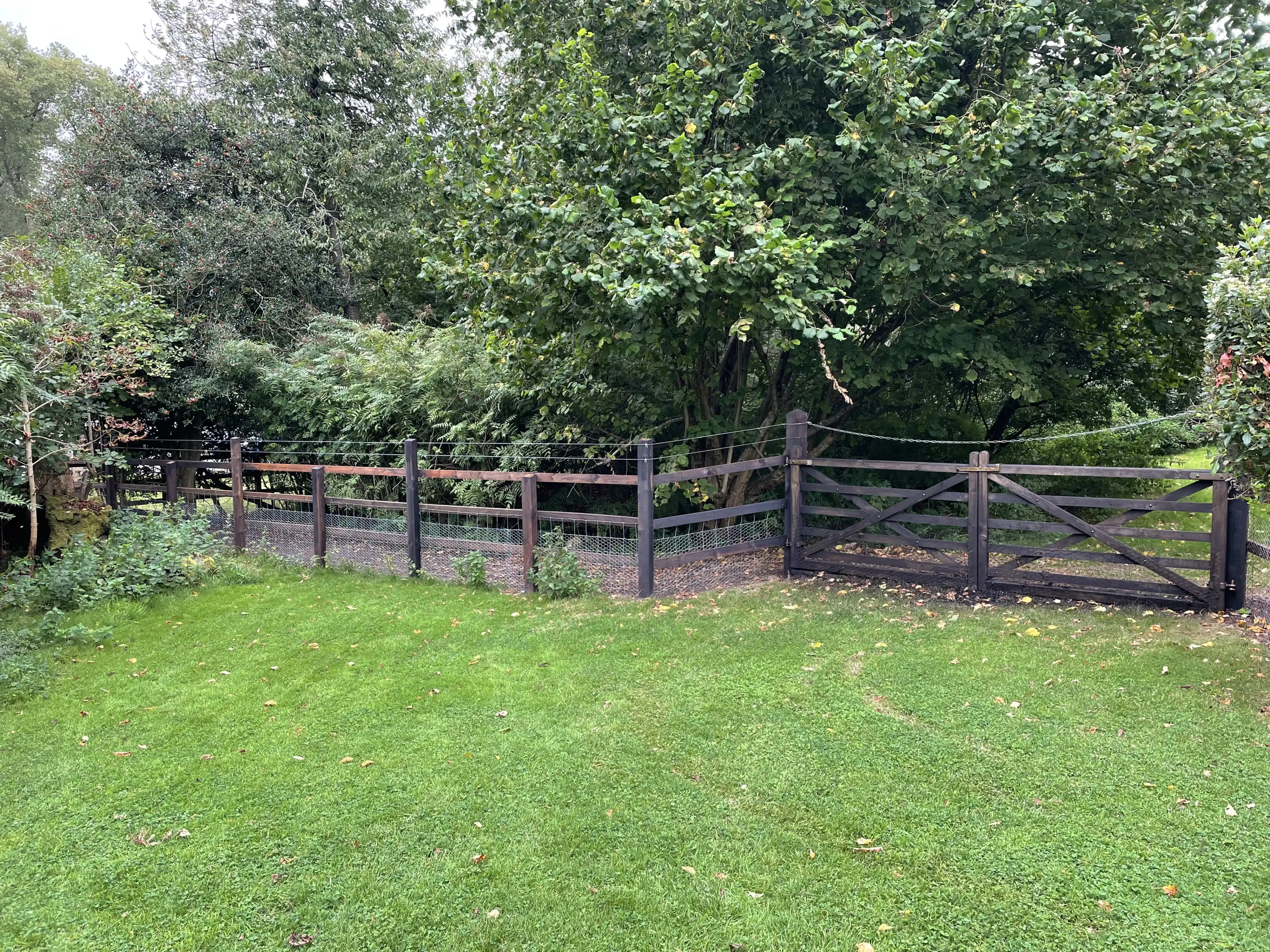 Post and rail garden fence beside woodland planting