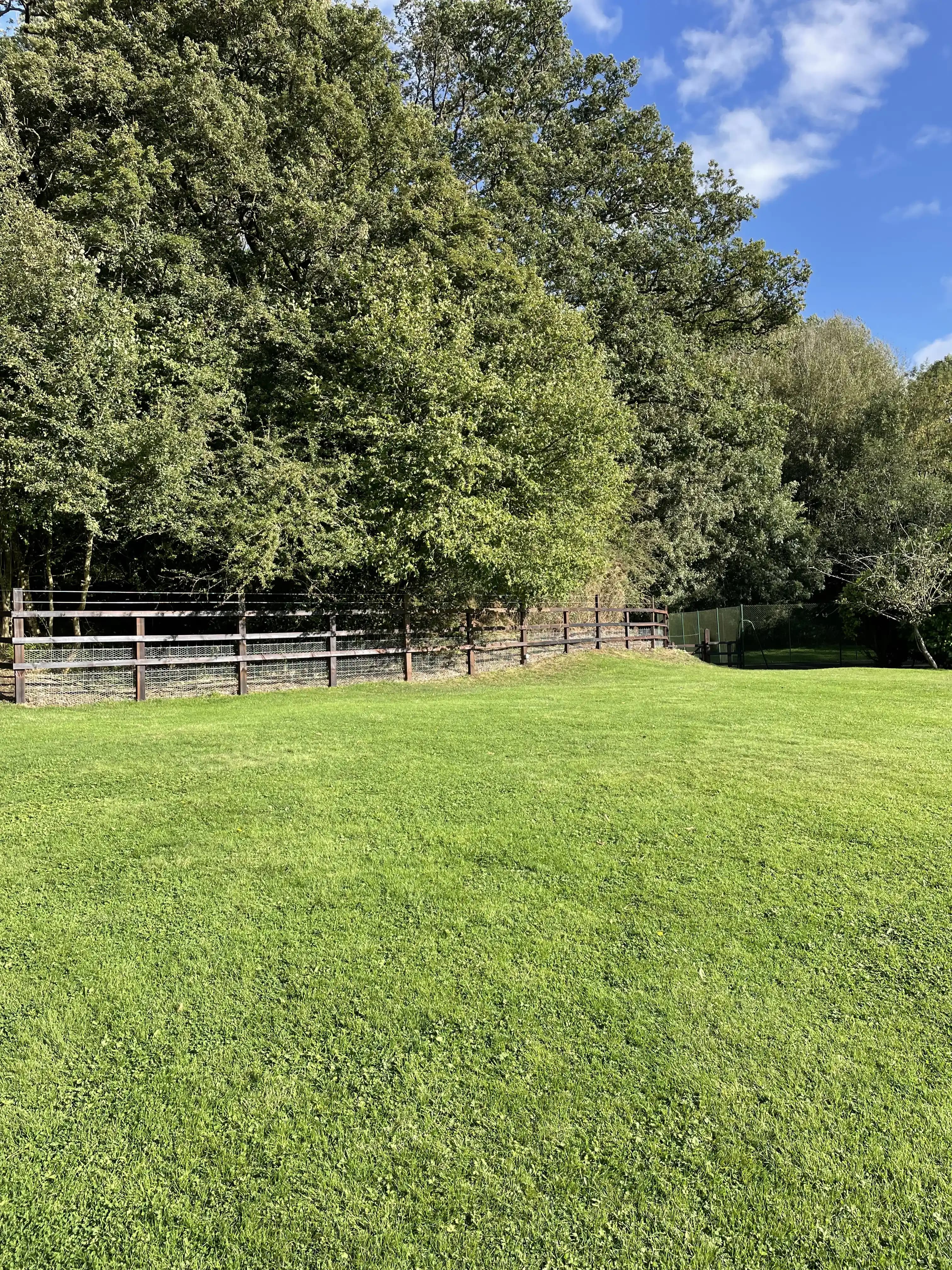 Post and rail paddock fence across a sunny green lawn