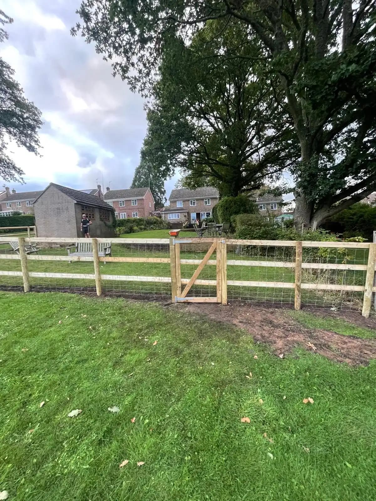 Post and rail paddock fence beside a mature tree