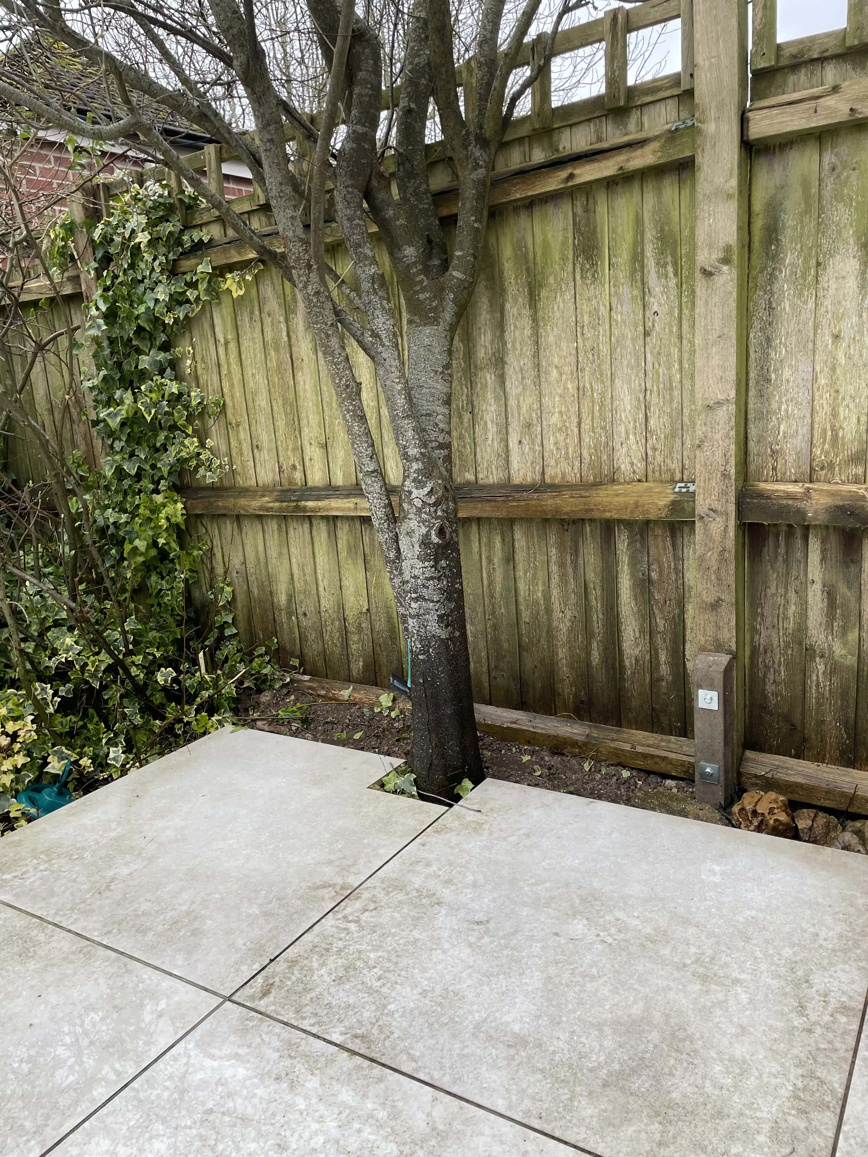 Timber boundary fence beside a patio and mature tree