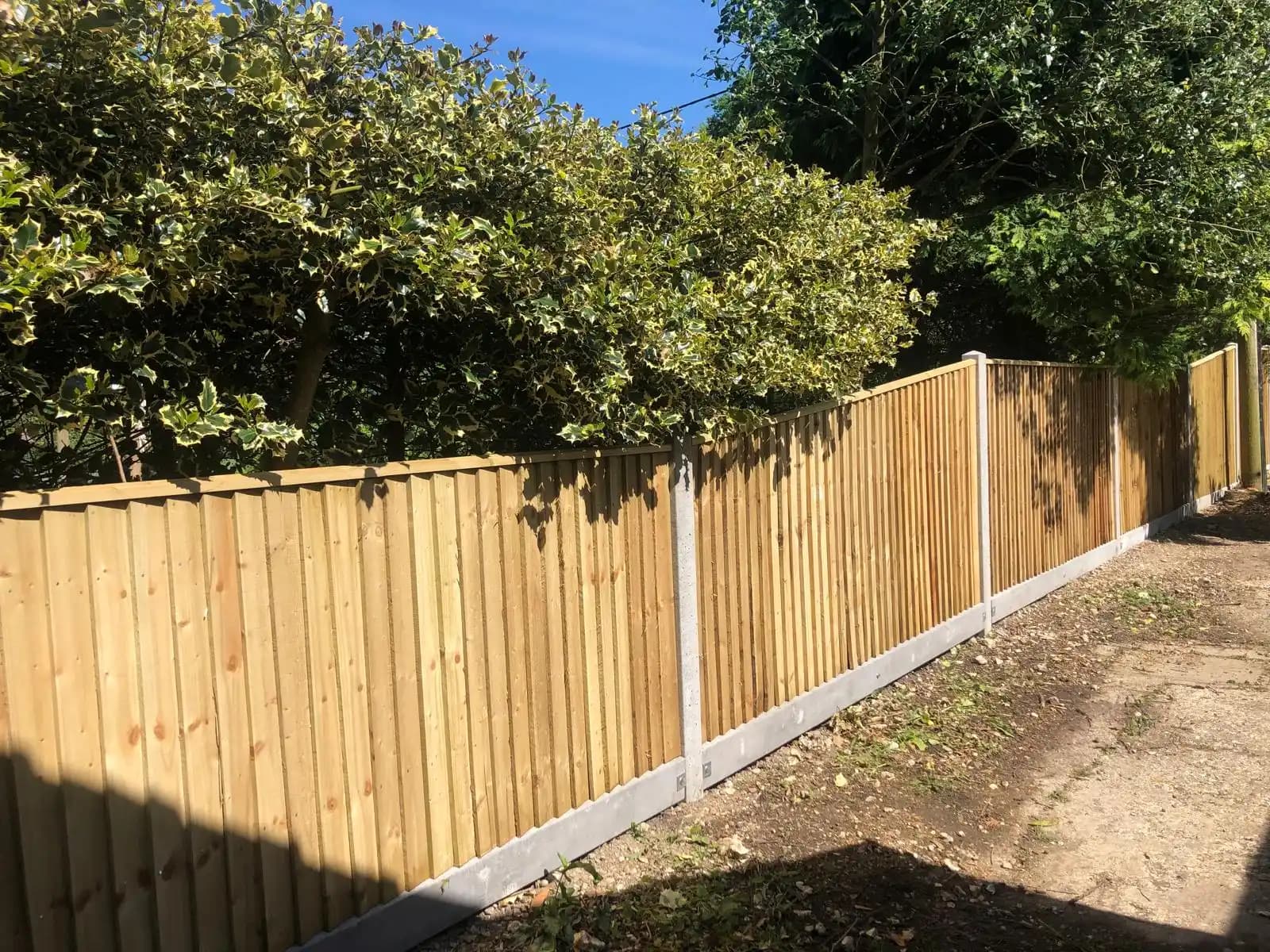 Sunny closeboard fence installed along a hedge boundary