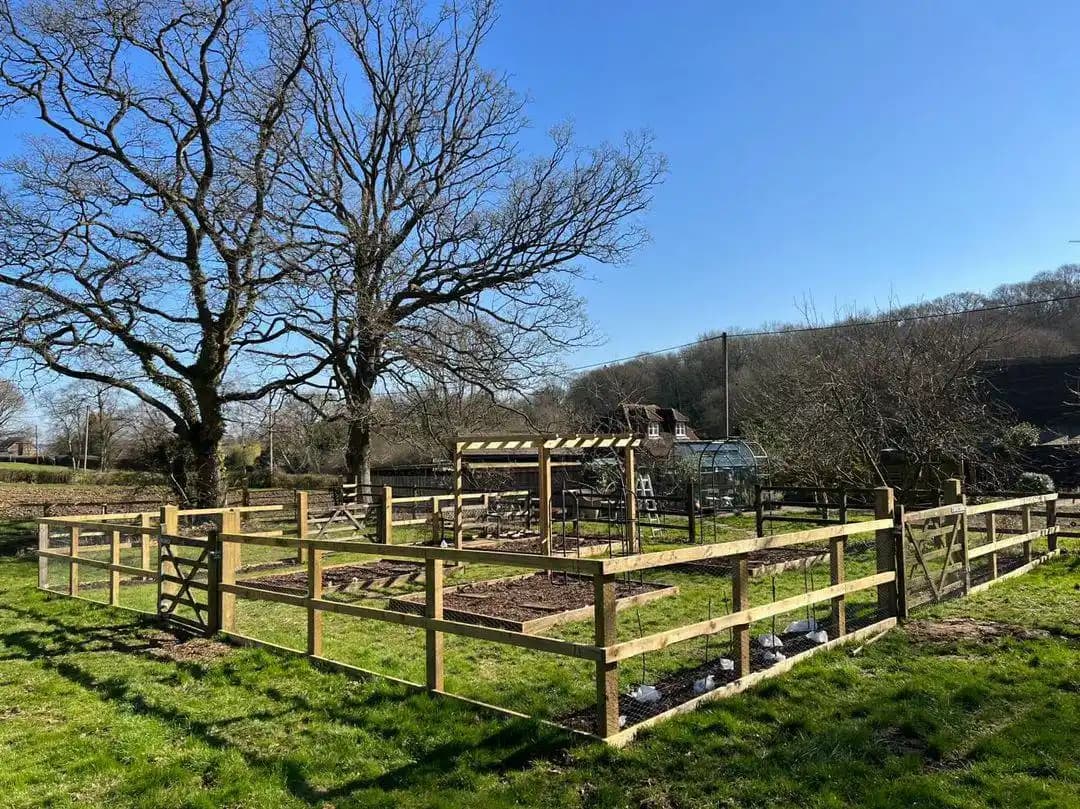 Timber post and rail fence around a paddock in bright sun