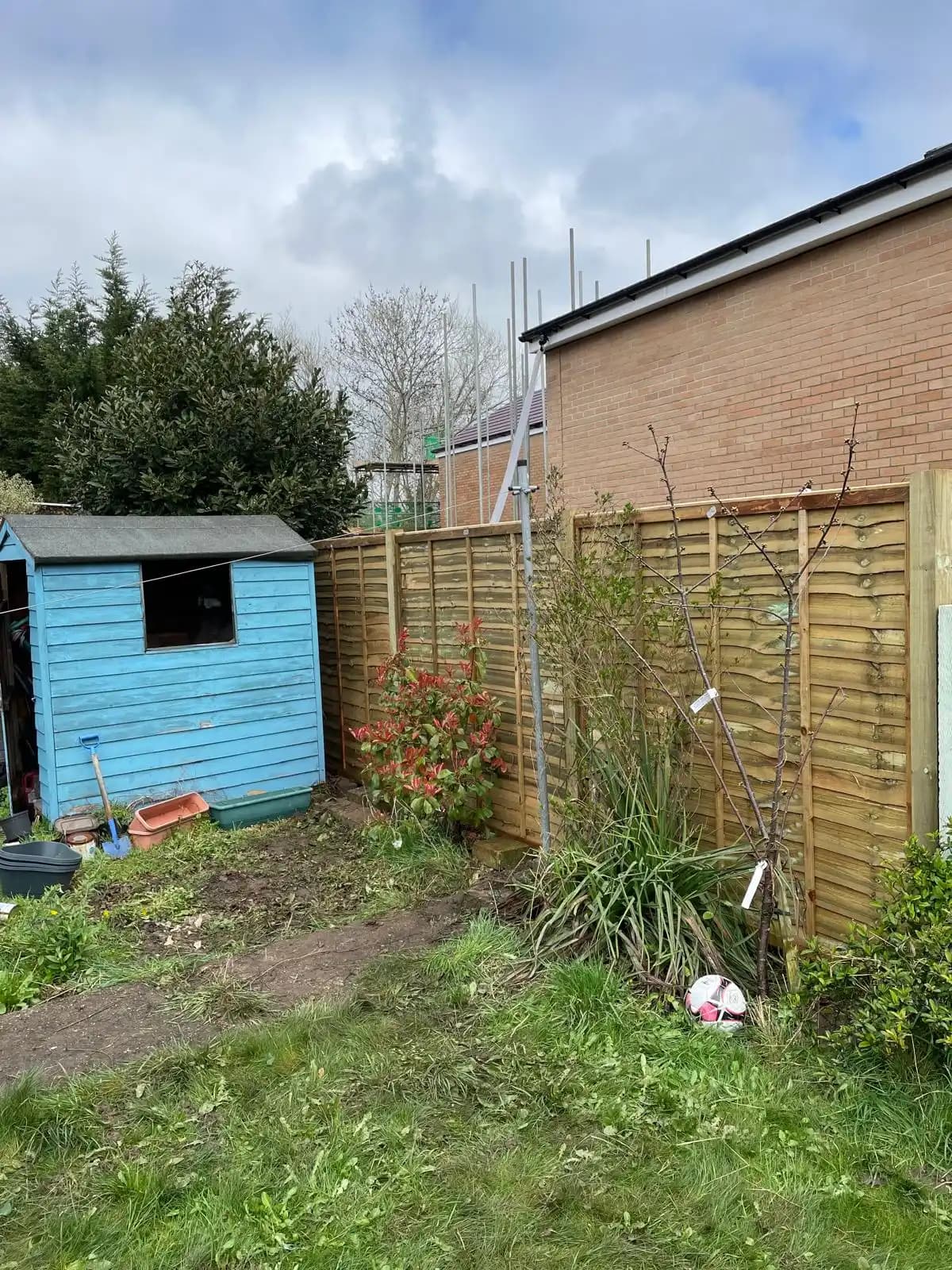 Trellis top fence beside a blue garden shed